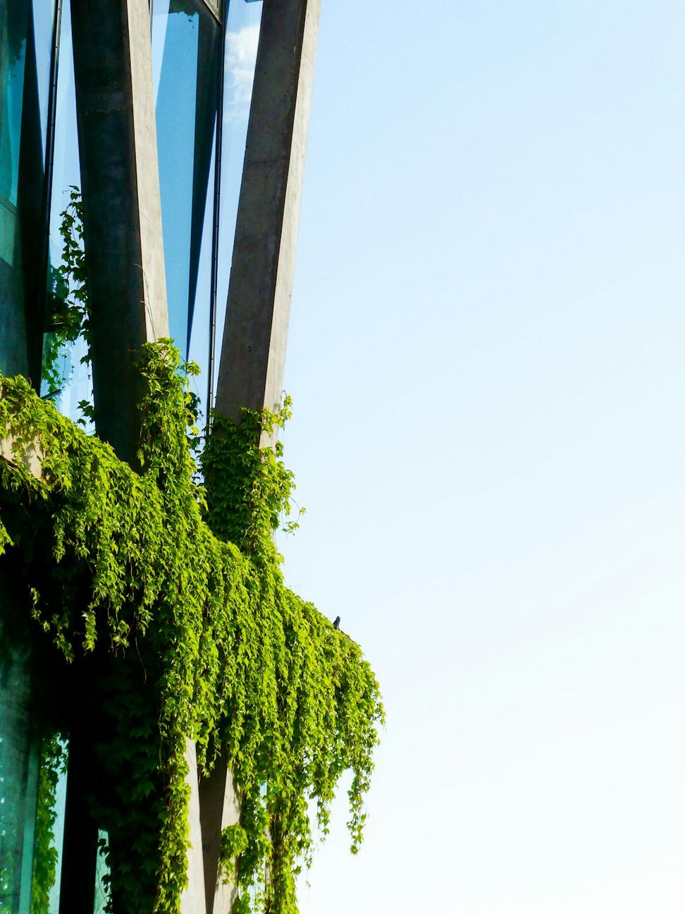 Sustainable Project