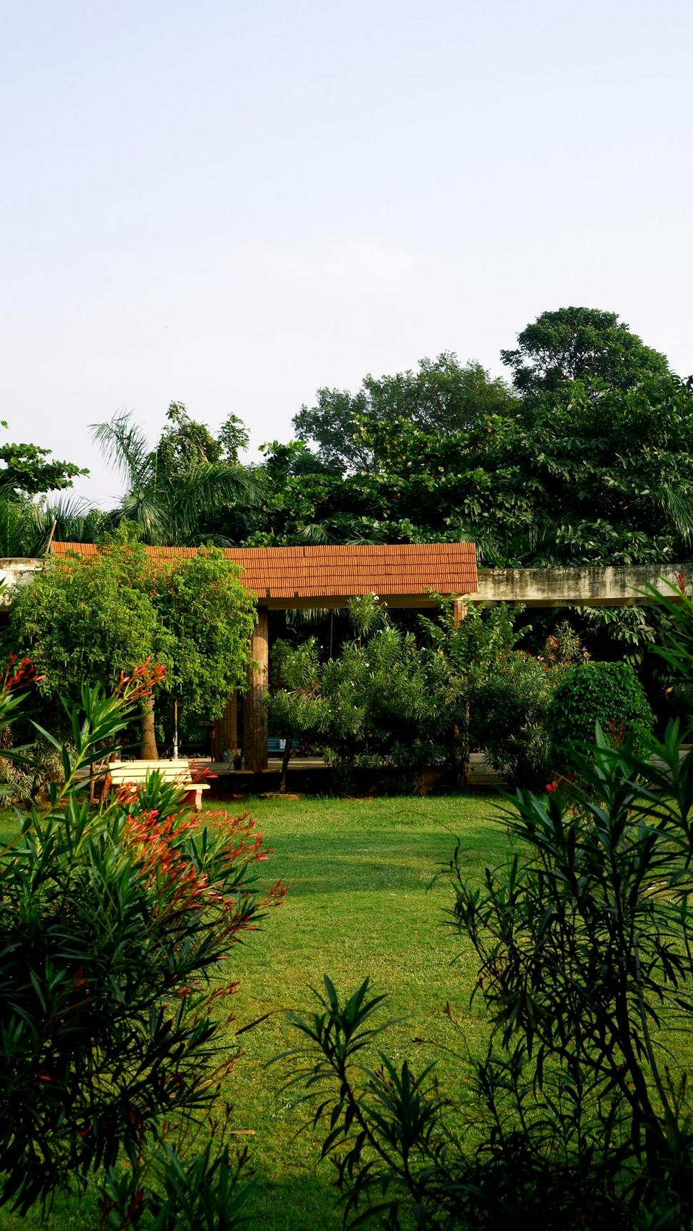 Green Roofs